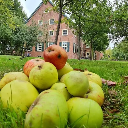 Gulfhof Boomgaarden 4 Boomgaarden 4 Aafke Krummhörn