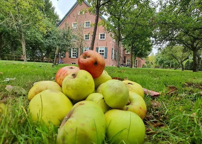 Gulfhof Boomgaarden 4 Boomgaarden 4 Aafke Krummhörn